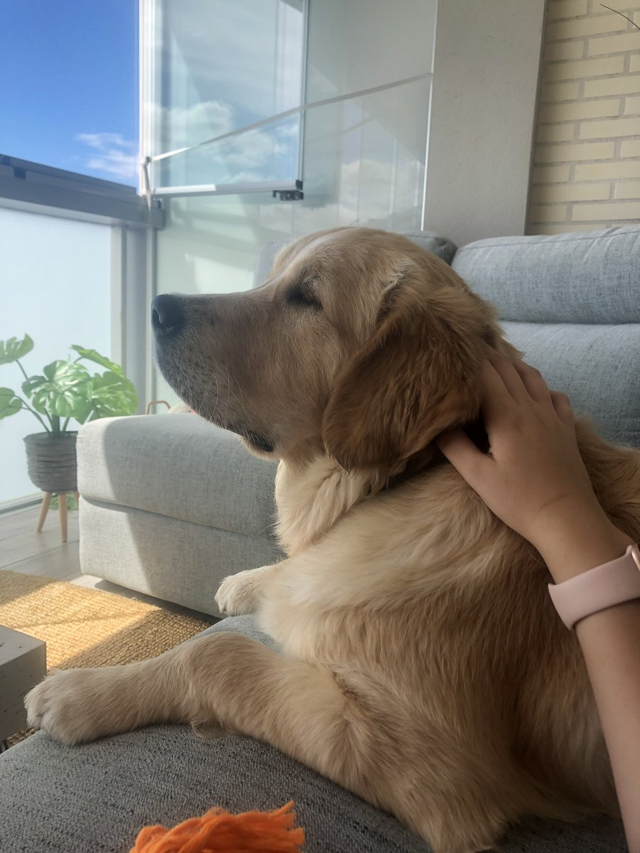 maitechugp's tweet photo. 💛Tengo una rubia preciosa💛 https://t.co/aYPqKpUDtf