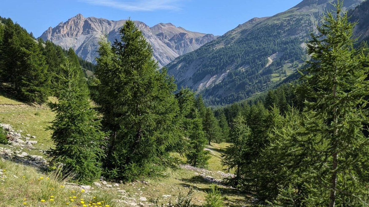 Scot_climber's tweet photo. 📍Col de la Cayolle, France (2326m) was final alpine pass of the holiday and from there we descended to Nice, 130km to the south.  The pass sits on the border of the Alpes-Maritimes and Alpes de Hautes Provence. A narrow exposed road leads to the col making a challenging drive! https://t.co/gI8U6fvIyd