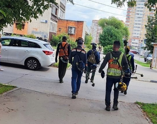 пять косарей зелени 😆