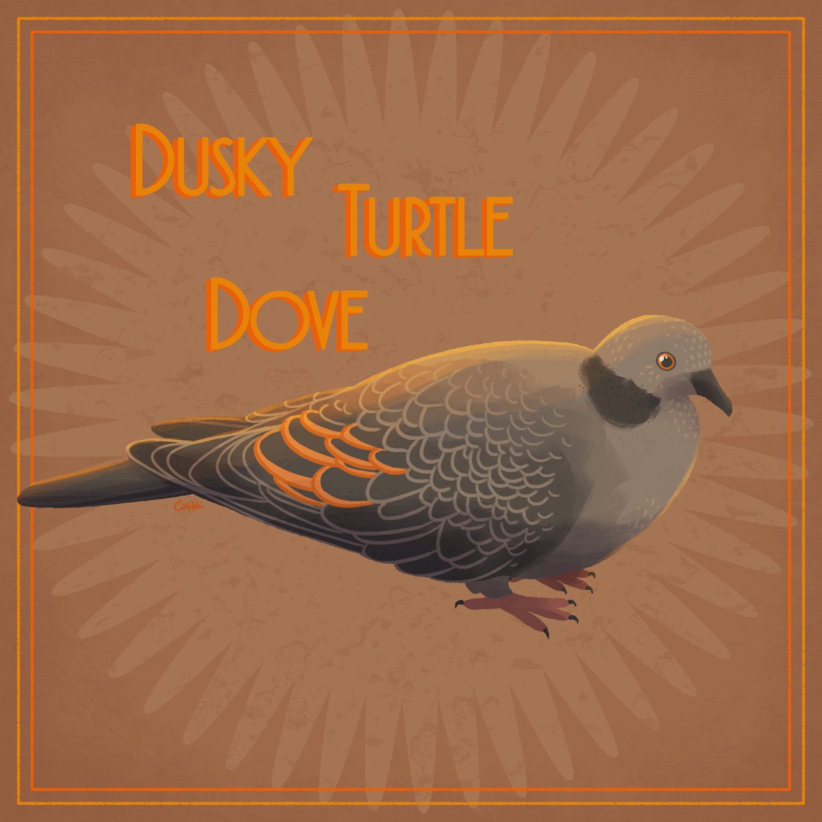 CatRobi2's tweet image. #AvianAugust2024 🌟