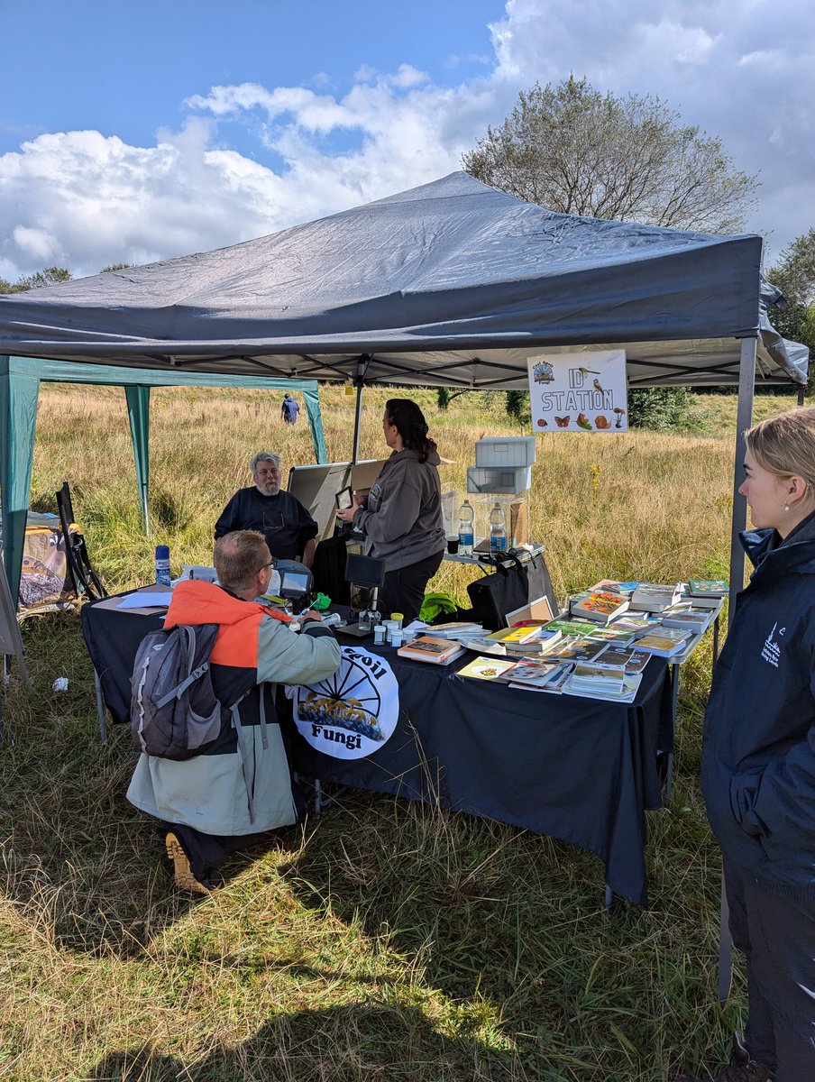 JenkinsBoobyer's tweet photo. Massive thanks to everyone who came to the Deer Park BioBlitz yesterday and made it an amazing day! Lots of fun had and a big list of new records for the site including some new species to Newport and a new for Wales!🌳🍄🐝 https://t.co/LXScSrseB4