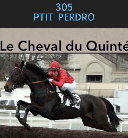 questacarlito's tweet photo. #RueFred le 25 Août 2024 🐎 https://t.co/8rSCNfsbXU