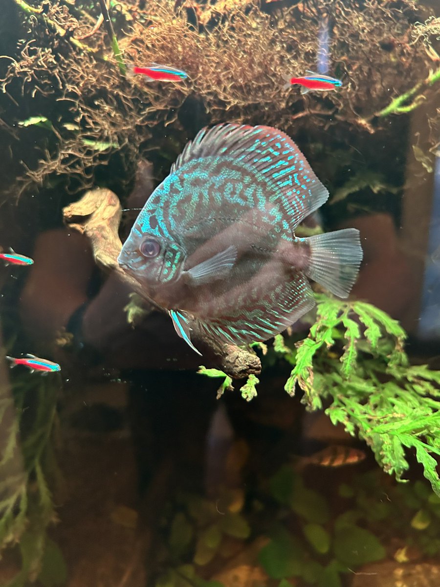 KK PLANTS (@kkplants0430) / Posts / X