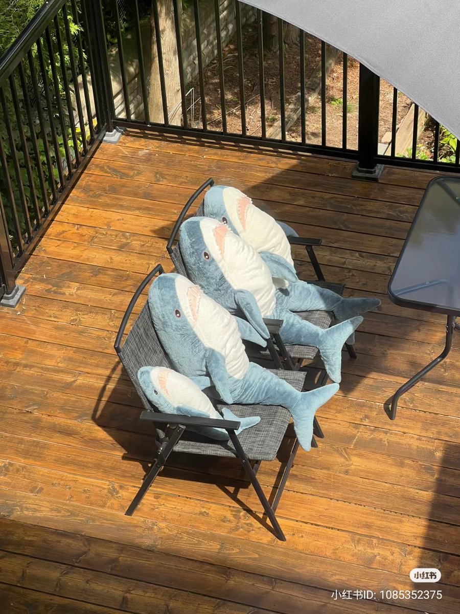 /ᐠ - ˕ -マ tweet media