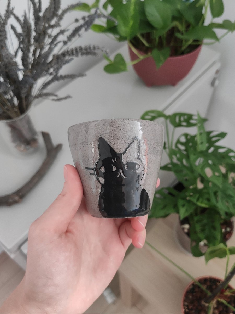 urmrrr's tweet photo. Just a cat on a cup https://t.co/CXcwiRHcwk