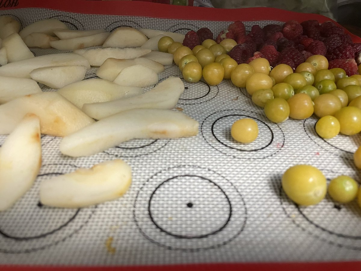 Hunt27Jessica's tweet photo. Good morning, X! 
For #everybitcountschallenge I did extra yesterday, taking Sunday off. 

I found a secret… dehydrate Okra and grind it up to thicken soups and sauces. I think this worked the best for me!
I also probably processed my last pickles of the year and froze things. https://t.co/kSua0Luse9