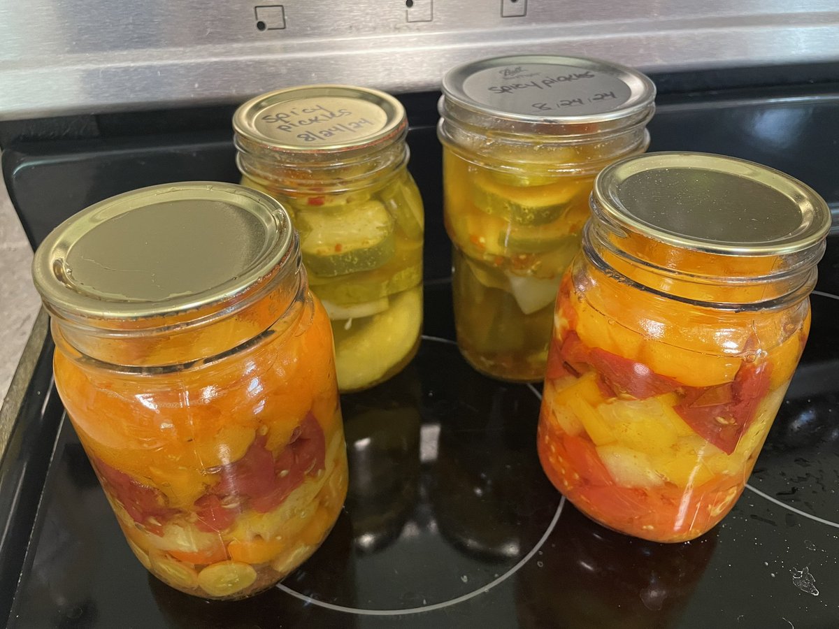 Hunt27Jessica's tweet photo. Good morning, X! 
For #everybitcountschallenge I did extra yesterday, taking Sunday off. 

I found a secret… dehydrate Okra and grind it up to thicken soups and sauces. I think this worked the best for me!
I also probably processed my last pickles of the year and froze things. https://t.co/kSua0Luse9