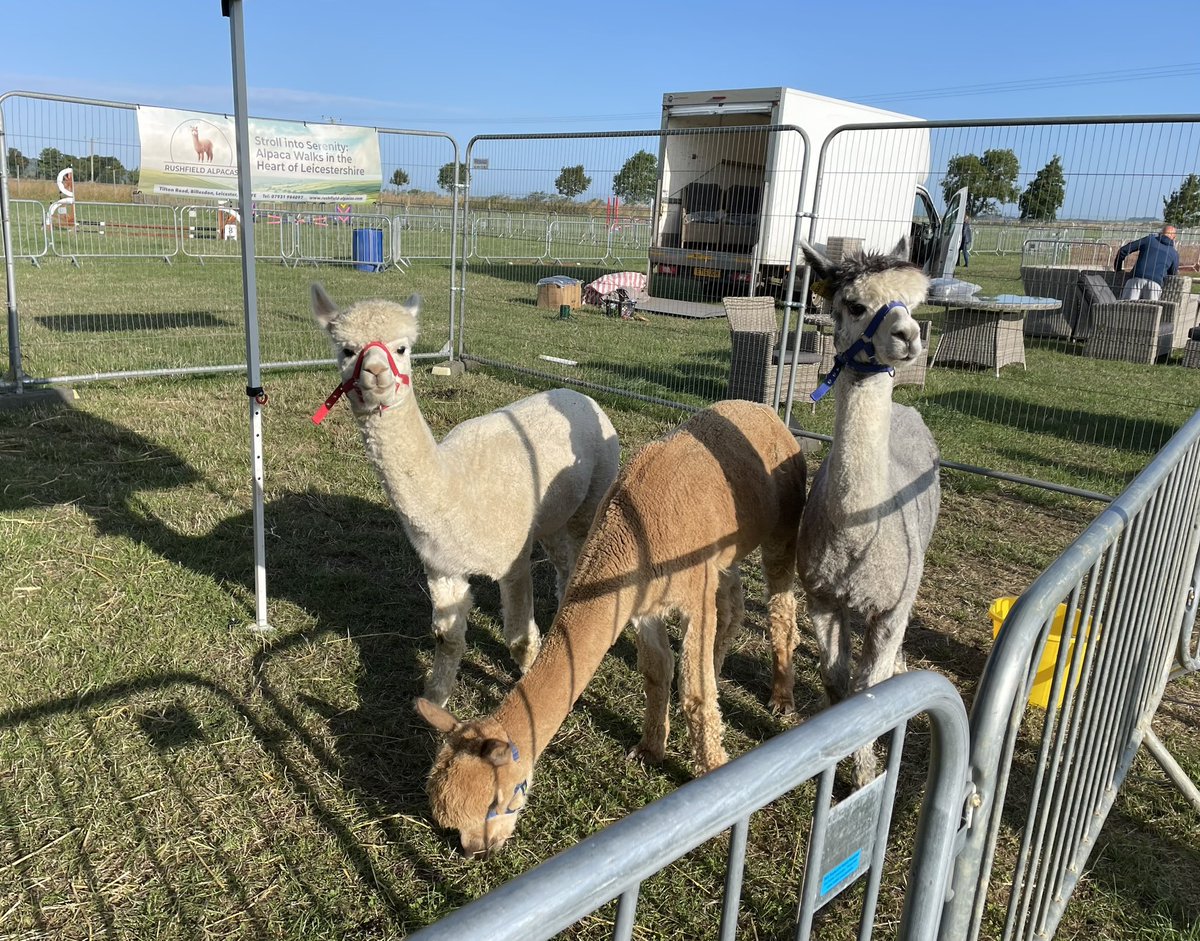 melvynprior's tweet photo. Lots going on in the main ring https://t.co/IK7ku0bEC3 https://t.co/UQfhEhGono