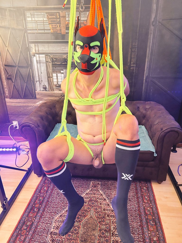 robin_pup's tweet photo. Done by @Alwayslookingf9 
Picture by @beerke25_gayfox 
#ropebunny #puppyplay https://t.co/AVKigoMUFa