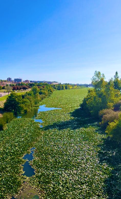 Ahí debajo está el Guadiana a su paso por Badajoz.