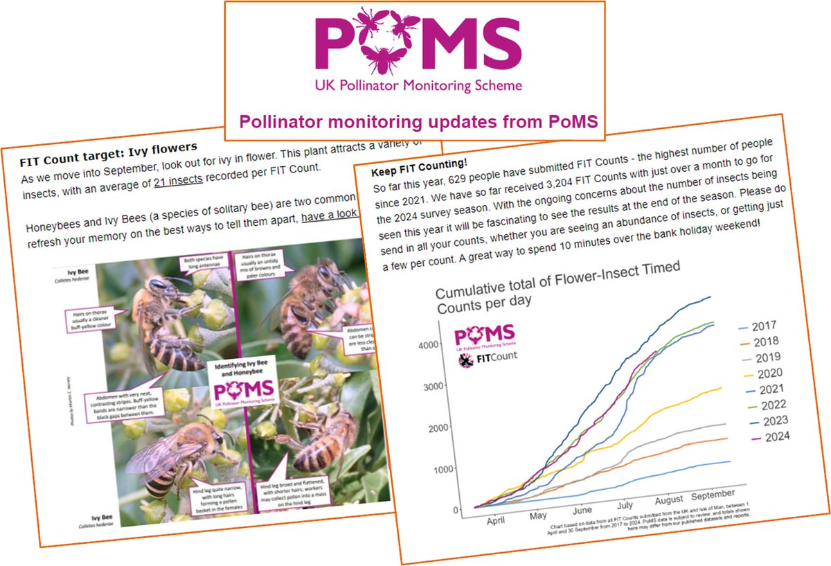Keep FIT Counting! Read this and other updates from PoMS (incl Ivy flowers, Wasp wisdom and Events) via our latest email newsletter mailchi.mp/1a8ffc54933d/u… and subscribe at ukpoms.org.uk/subscribe