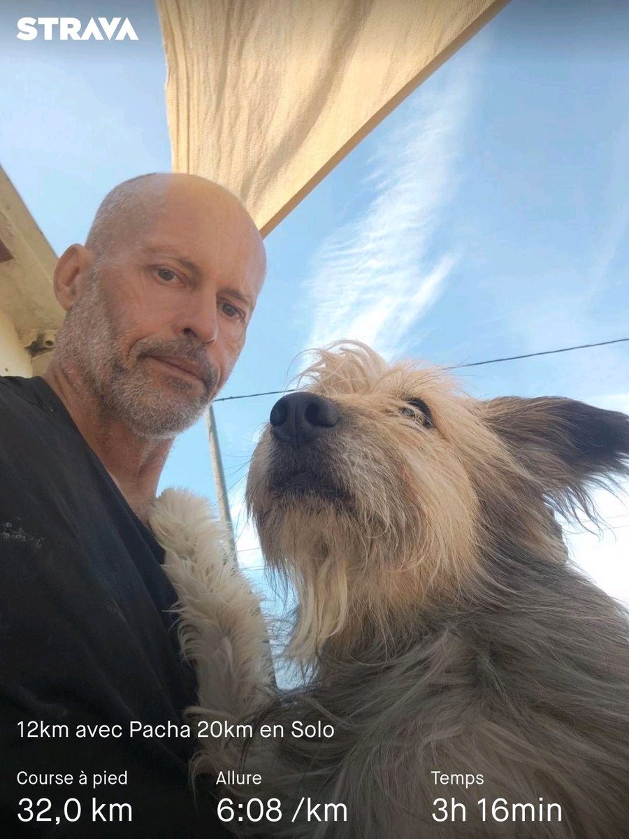 Pendant qu' <a href="/EugnieLe/">EUGENIELETOR</a> et <a href="/LunarSpider/">LE TIGRE</a> regardent la 22ème redif de la Petite Maison dans la prairie sur M6 Pacha et moi faisons un peu de canicross 🐕‍🦺🏃😁