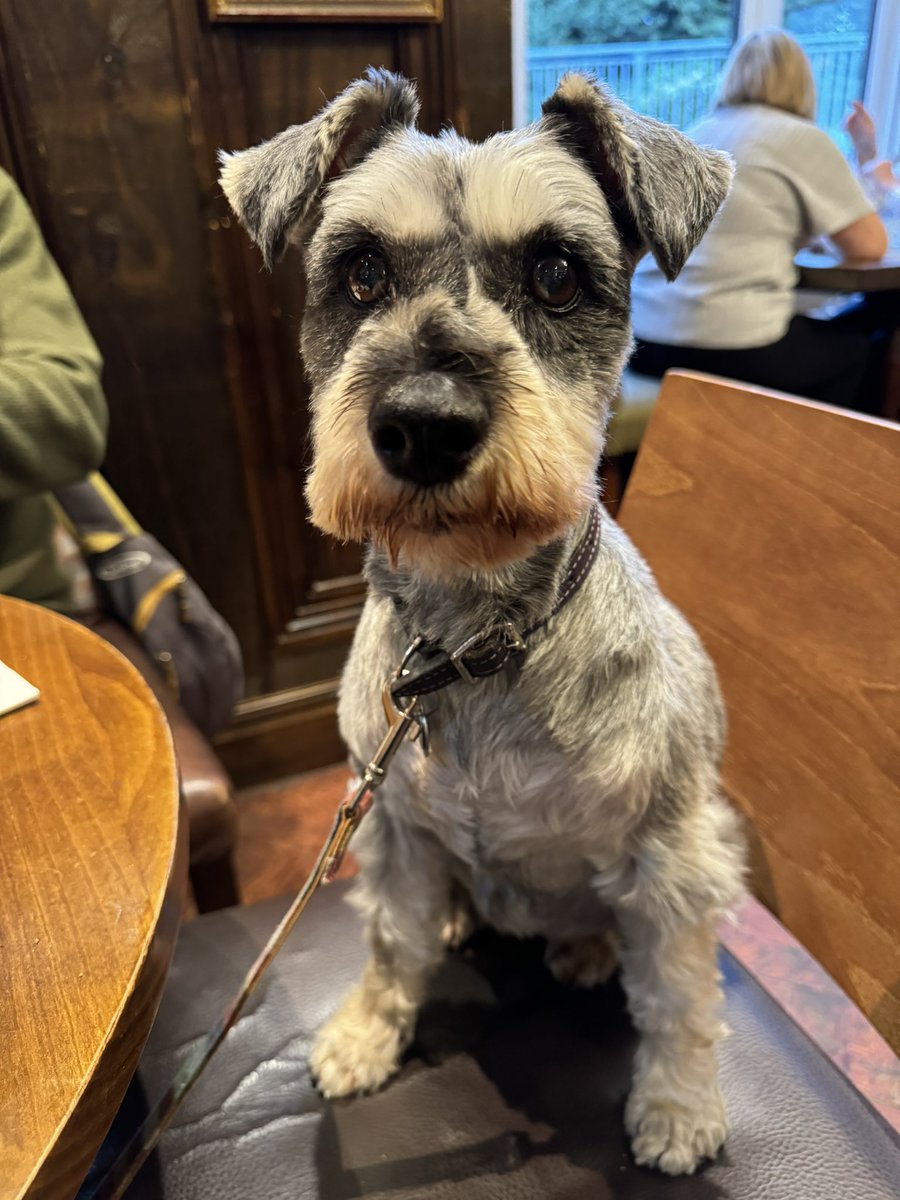 Good morning everyone! Who else is going out for a Sunday roast today?