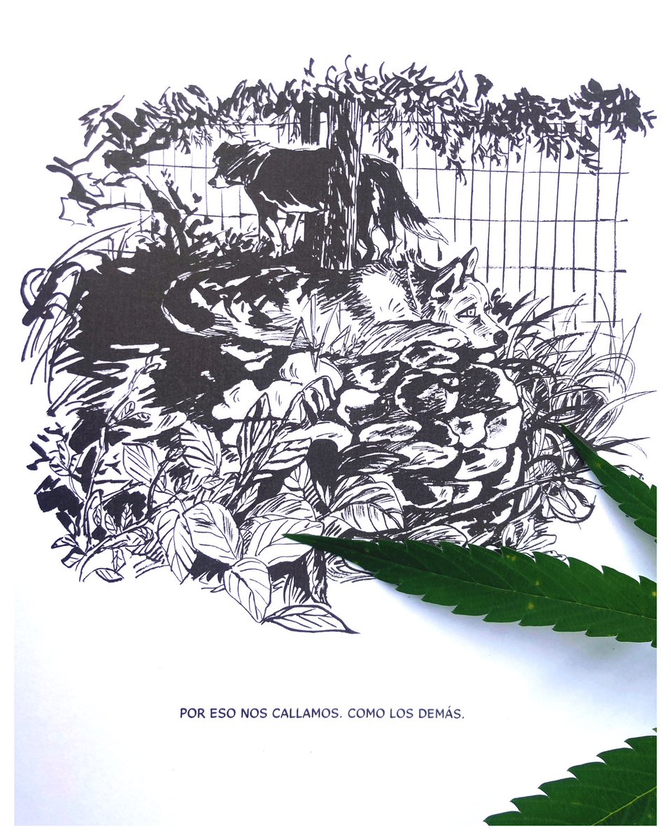 #Perros #KeumSukGendryKim 📚