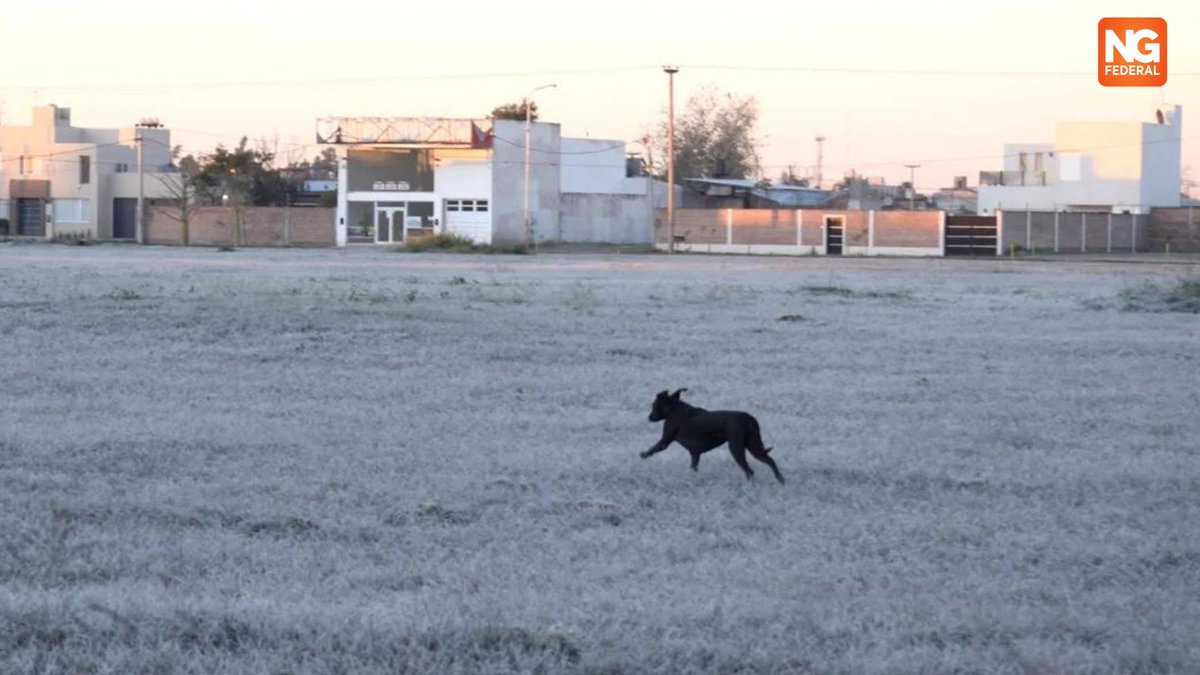 NGFederal's tweet photo. Sáenz Peña, la más fría de Chaco con mínima de cero grados en la madrugada: cómo sigue en Resistencia

#diario22ar https://t.co/KMQuddd2Kh https://t.co/dlkYVKA7Fb