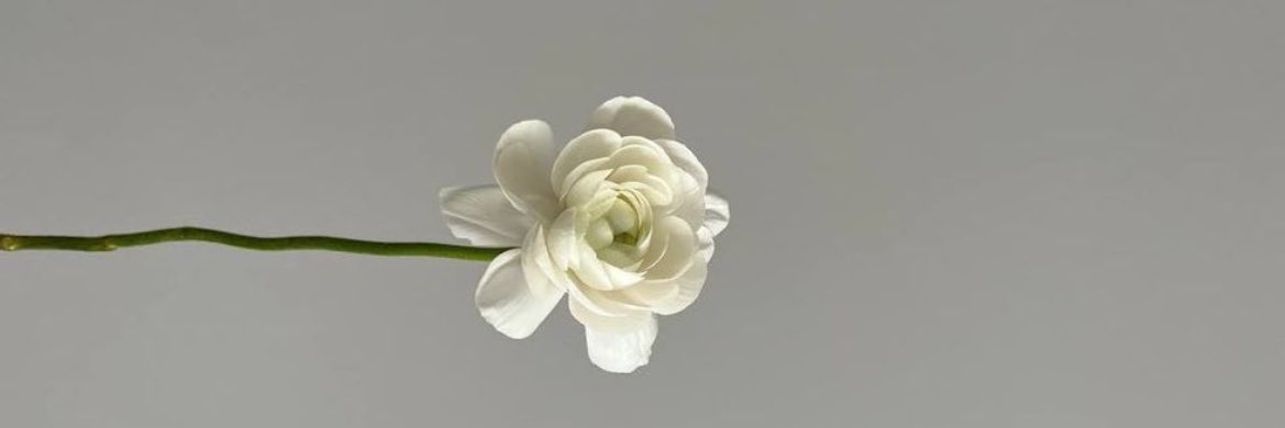 memvfi's tweet image. ـ