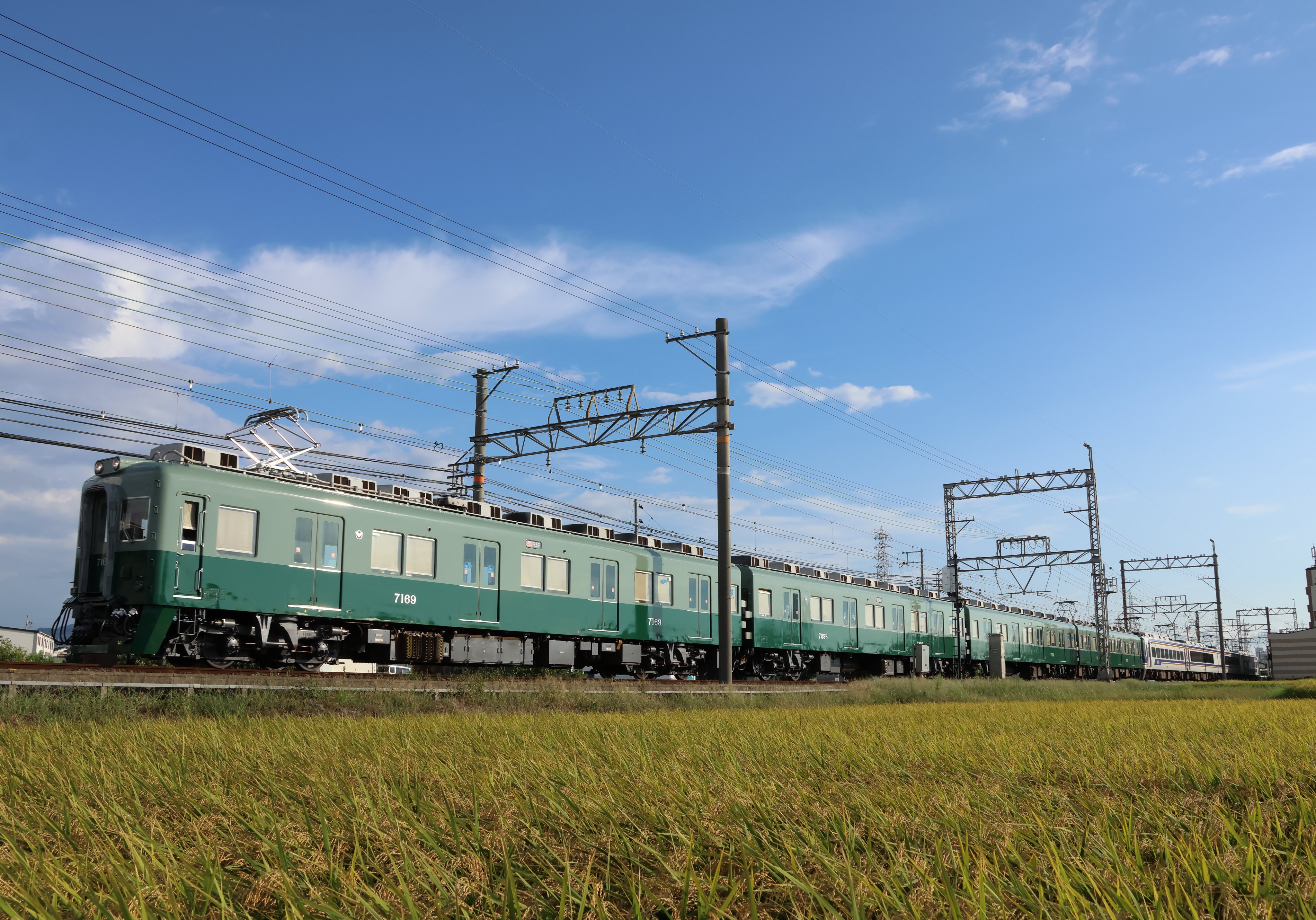 AKOmahページ 南海7100系（復元塗装）モハ7169の側面写真｜RailFile.jp｜鉄道
