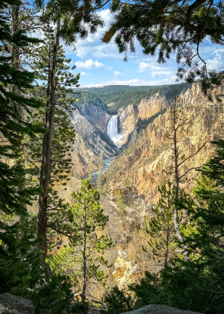 The <a href="/NatlParkService/">National Park Service</a> was founded 108 years ago today. Our national parks are irreplaceable, and this beautiful #ShotOniPhone photo at Yellowstone, taken by Luke Kelly, captures why we must preserve these rare spaces for future generations.