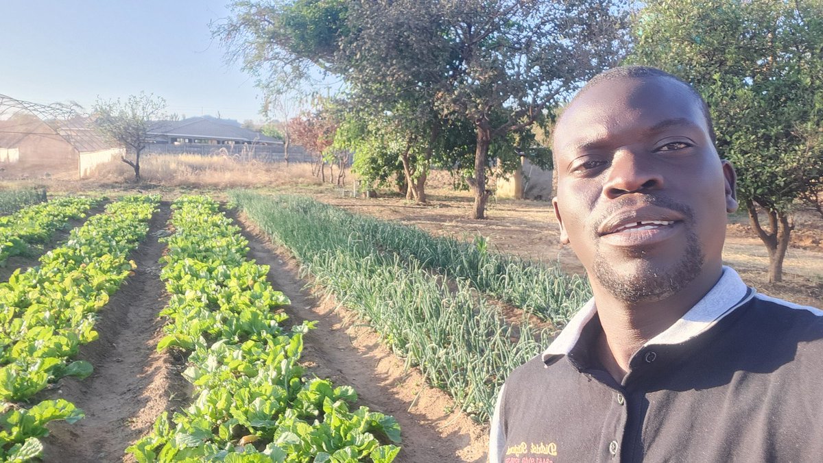 Mutasa tweet media