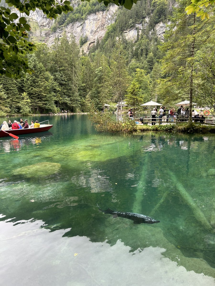 CarteneChloe's tweet photo. blausee 🇨🇭 https://t.co/26YR6ol9o0