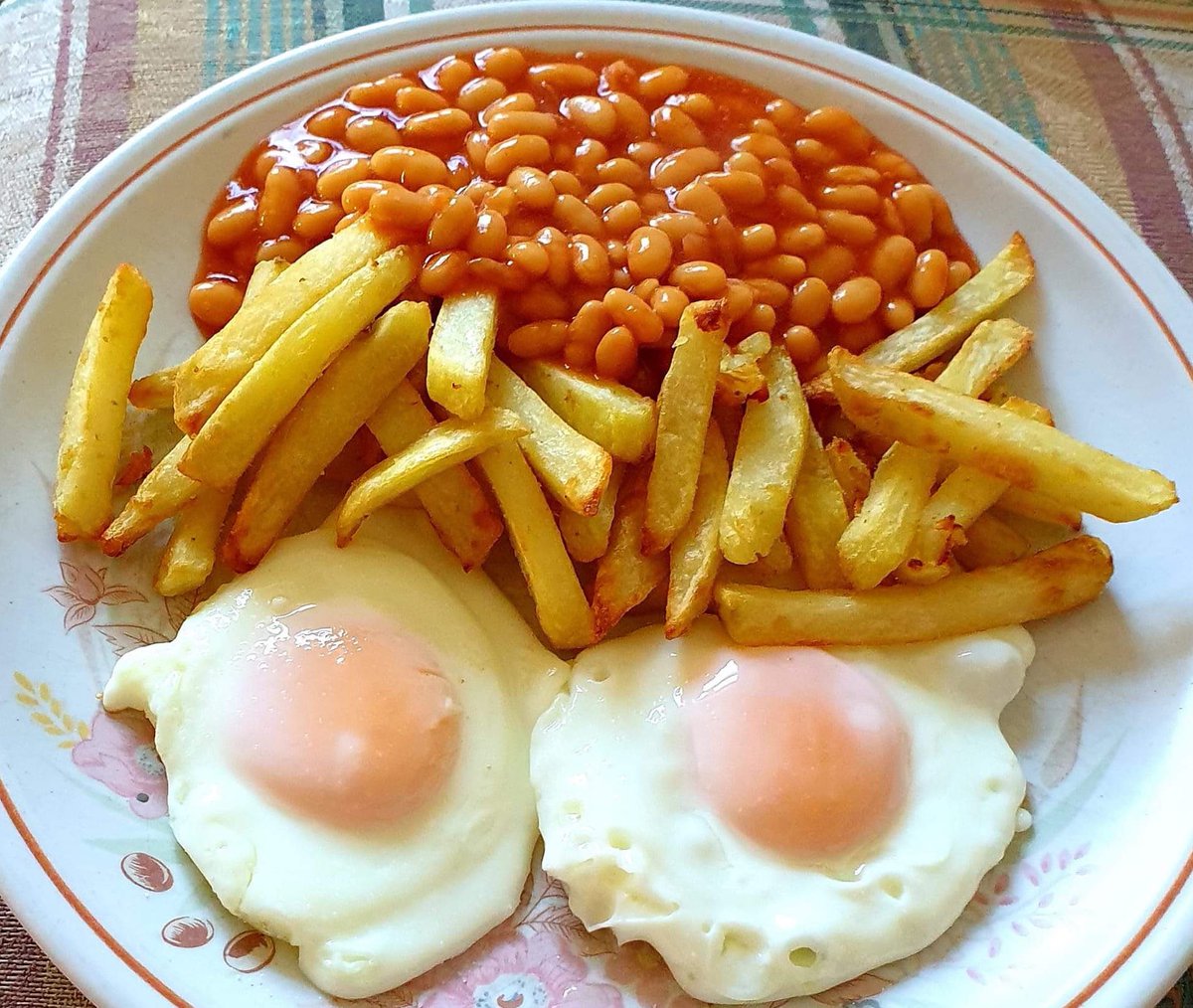 Dinner with Beans 🍽️ tweet media