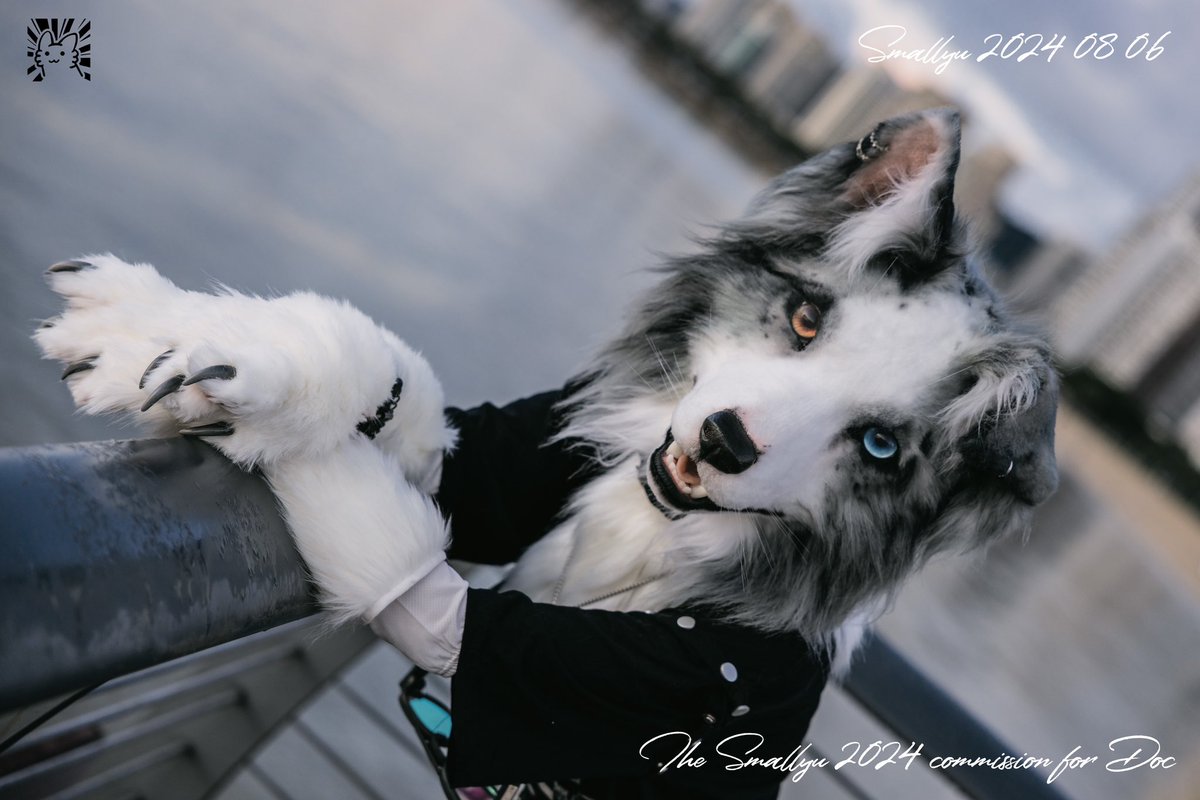 smallyuXP's tweet image. commission for @DOCorDOG 🐶🐶