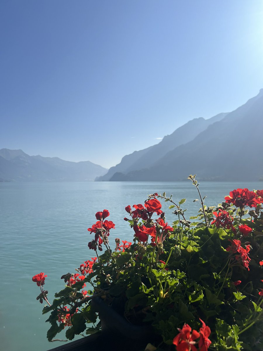 CarteneChloe's tweet photo. Interlaken🇨🇭 https://t.co/jpwOBN8dIo