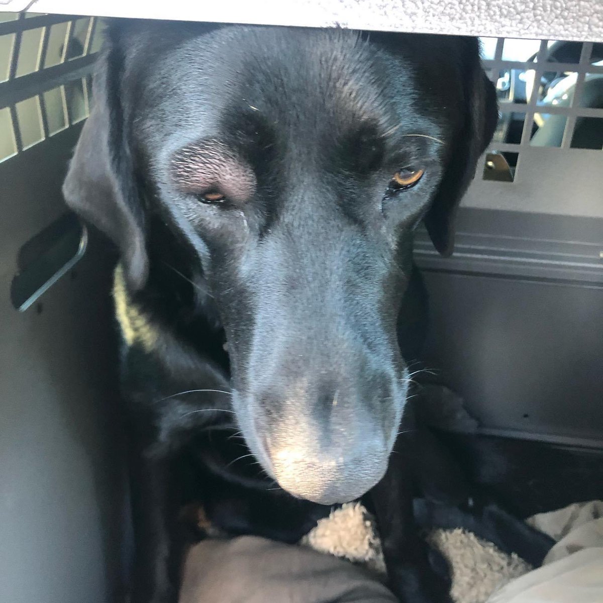 Gareth Owen tweet media