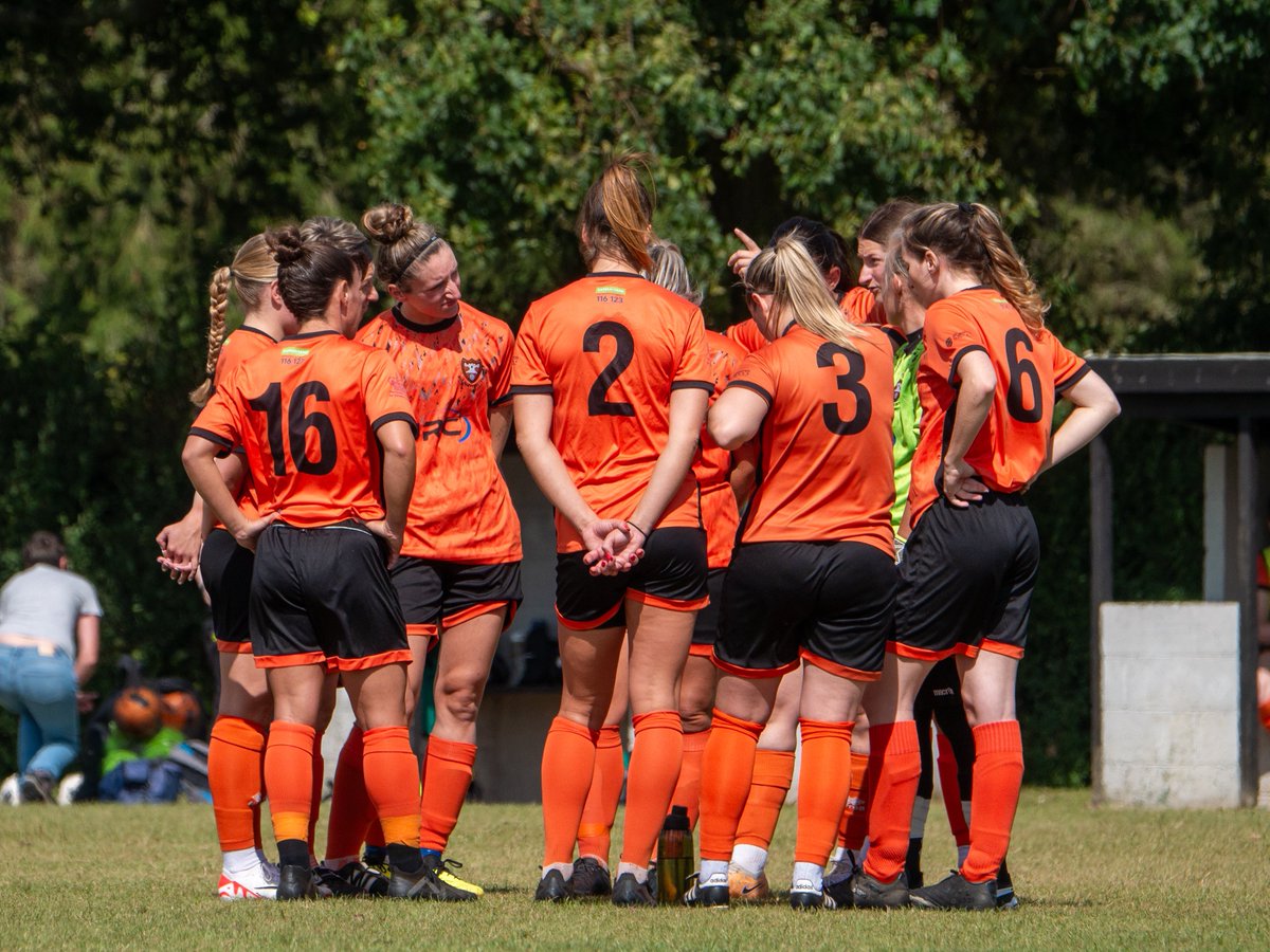 AFC Portchester Ladies tweet media