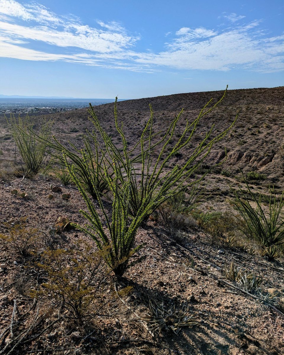dcf_13's tweet photo. All caught up on hikes now! 5,000 bits on twitch = 4 mile hike! https://t.co/B5CTtt6kwE