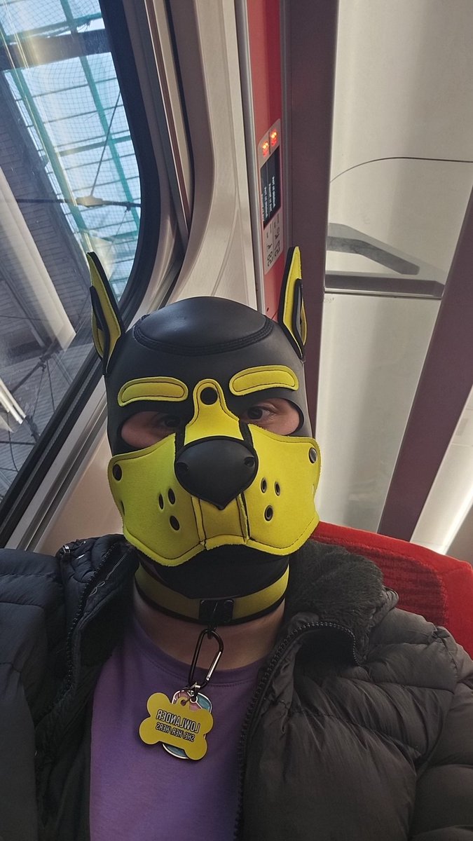 Pup Lowlander - Moved to Bluesky tweet media