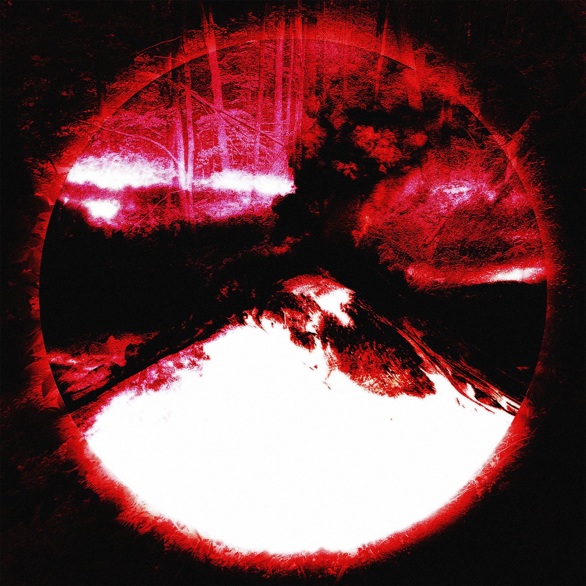 Mount Hyperpop tweet media