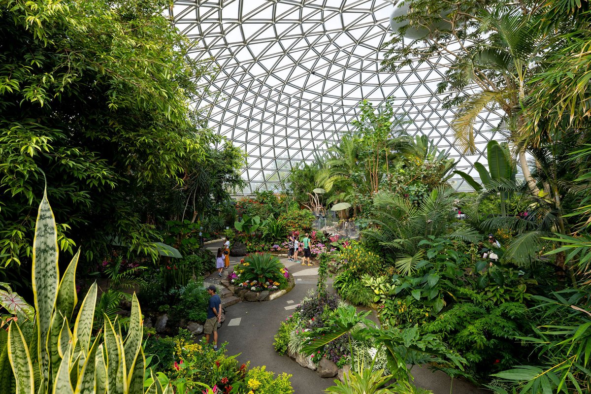 BloedelConserv's tweet photo. A power outage has been scheduled for AUG 26 in QE Park. Bloedel will remain OPEN, with cooling units installed
Impacts:
🎫 No onsite ticket sales – book online
💧 Waterfall off
🚽 Washrooms operational but dimly lit
📞Phone lines unavailable
🧃 No merch, ice cream or drink sales https://t.co/Ken4zD4C1l