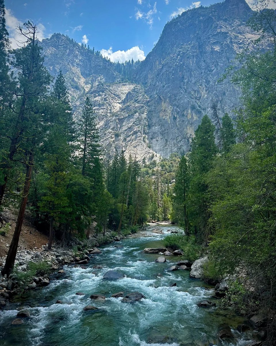 Happy National Park Service Day! Today, we celebrate our national treasures and the dedicated rangers who protect them. Share your favorite park memories in the comments below! 

📸: @hailey_melchert_

 #NationalParkServiceDay #FindYourPark #ExploreNature