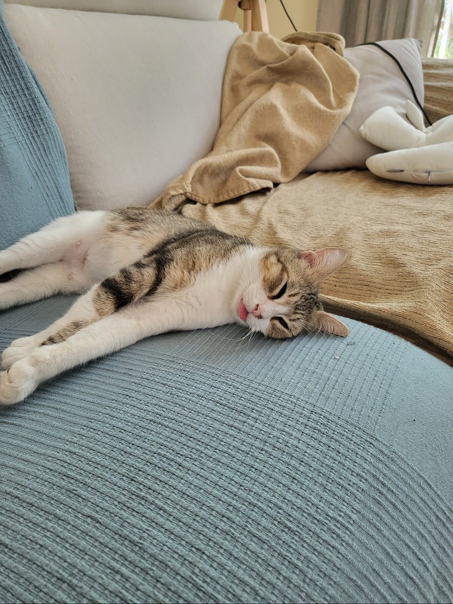 Hora se la siesta para Helia. Da igual cuando leas esto
