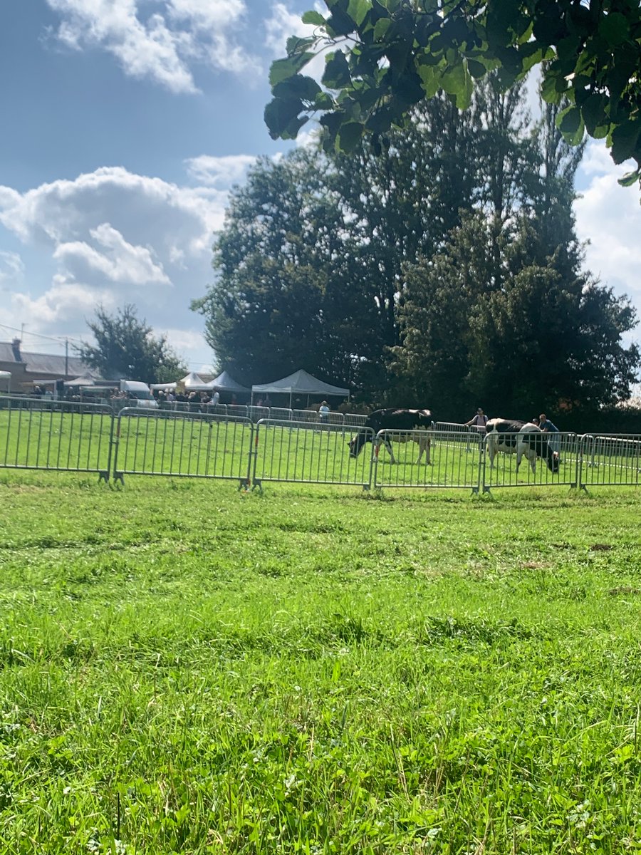 Bureau du jour, entre loto bouse et lancer de ballots de paille. 
#avesnois #PQRmonamour