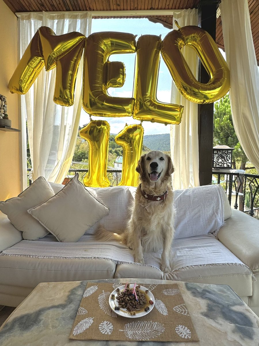 Melo 11 yaşında! 👑💛❤️ 
<a href="/_felipemelo_/">Felipe Melo</a>