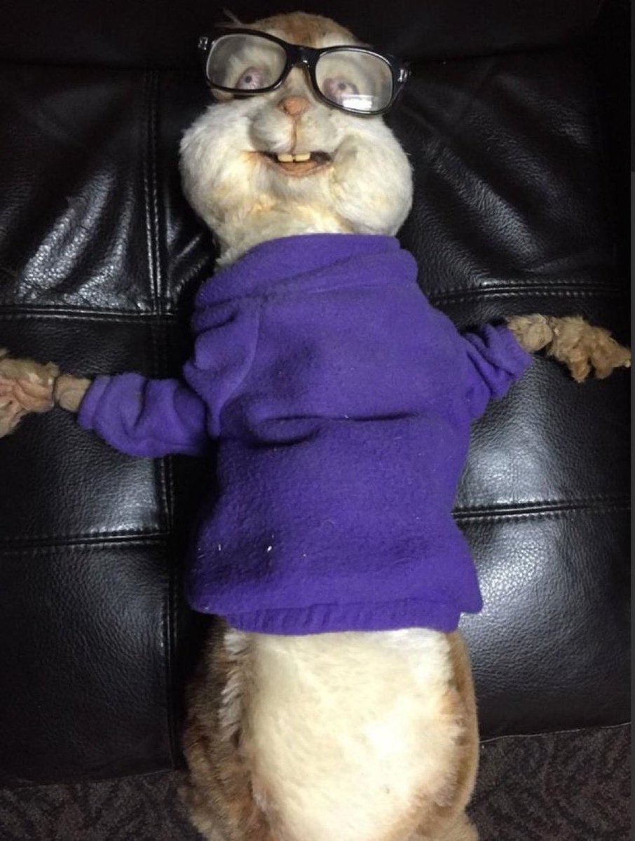 Bobgotrich's tweet photo. Me after round 30 of the goonsesh https://t.co/LLKGBM4I2x