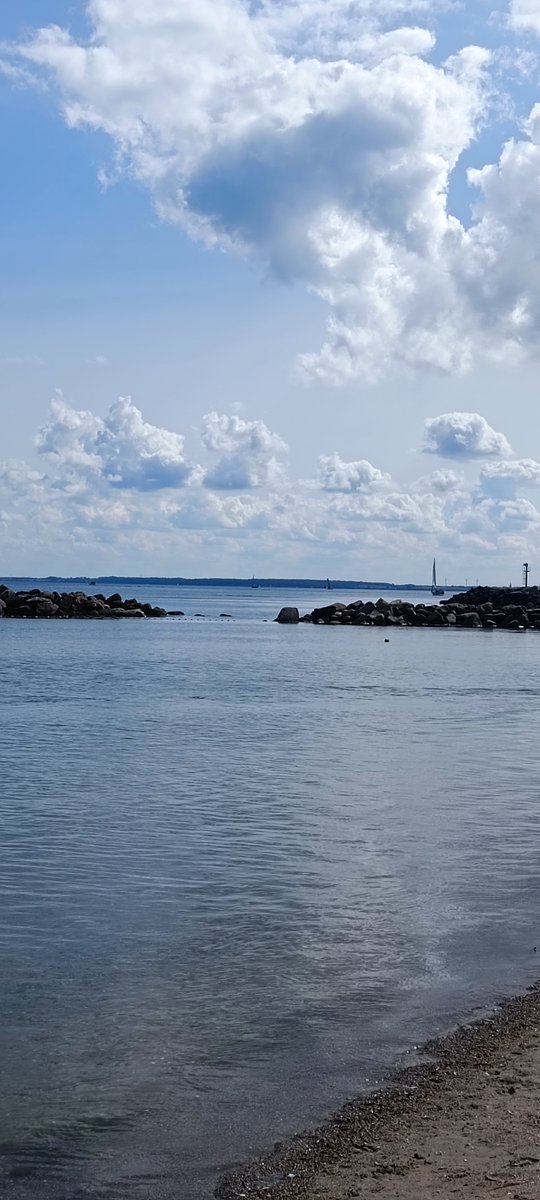 Corinne (@stellastern2024) on Twitter photo 