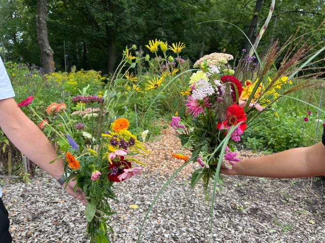 Samen een boeketje plukken? Ja gezellig! Het was een fijne ochtend, er zijn weer mooie bossen gemaakt. Tot volgende week!