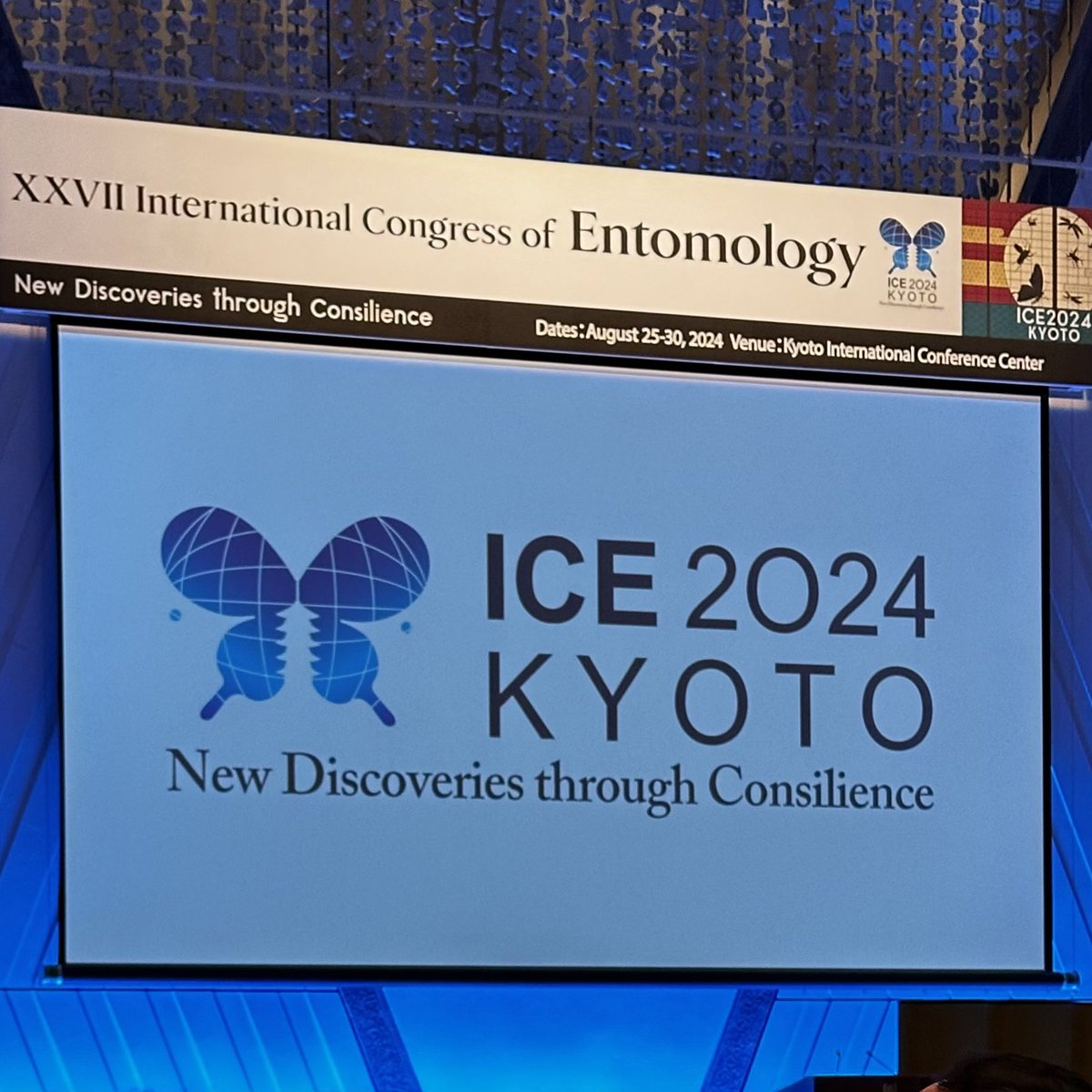 The XXVII International Congress of Entomology has returned to Japan for the first time in 44 years prompting speeches by high-ranking officials at the #ICE2024 opening ceremony today. Of note, the appearance by Their Imperial Highnesses Crown Prince and Crown Princess Akishino.
