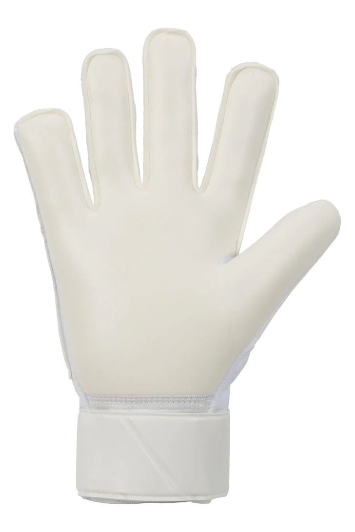 MordaUnitedFC tweet media