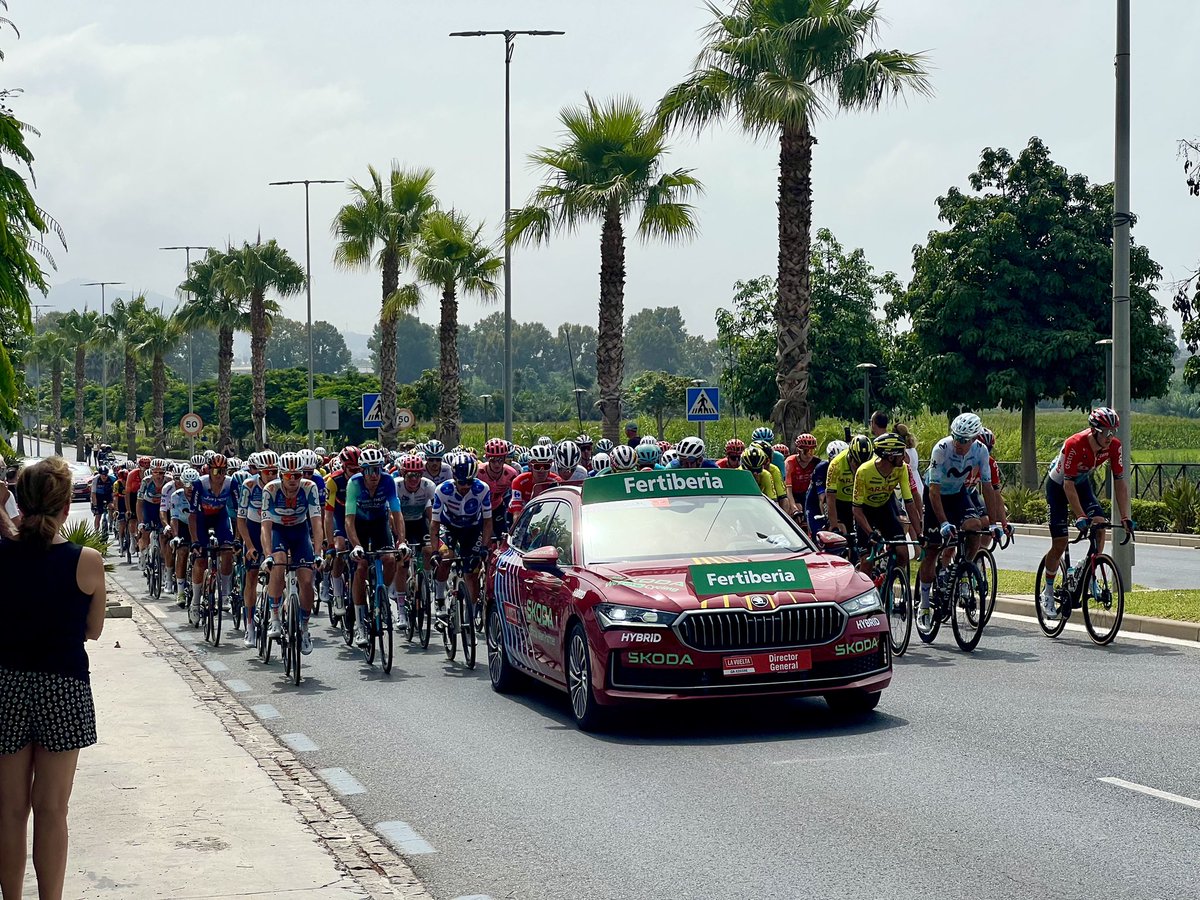 Mark Levesley tweet media