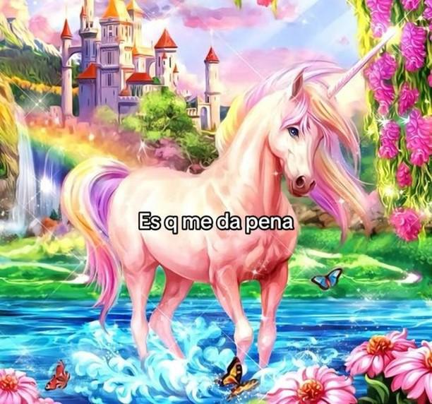 yo con absolutamente todo