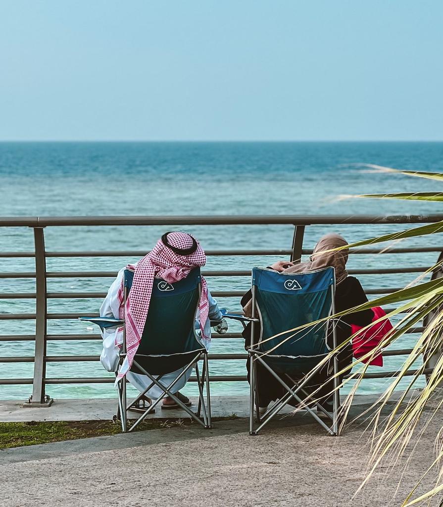 "وتأنَسُ النَّفـسُ في نَفْسٍ تُوافِقُها
 بالفِكـرِ والطَّبعِ والغَاياتِ والقِيم!"