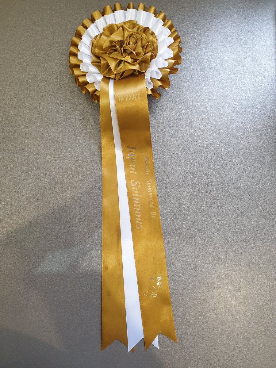 askinput's tweet image. Doing our bit for a local charity hosting a dog show. We like to help where we can.

Bit of a wet day, but was fun none the less. Got to meet some lovely doggies.