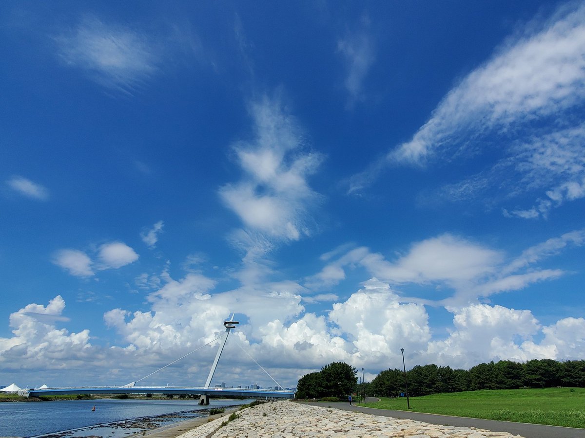ami_no_sora's tweet photo. #空写真
#葛西臨海公園 https://t.co/VOwpyCsCvc