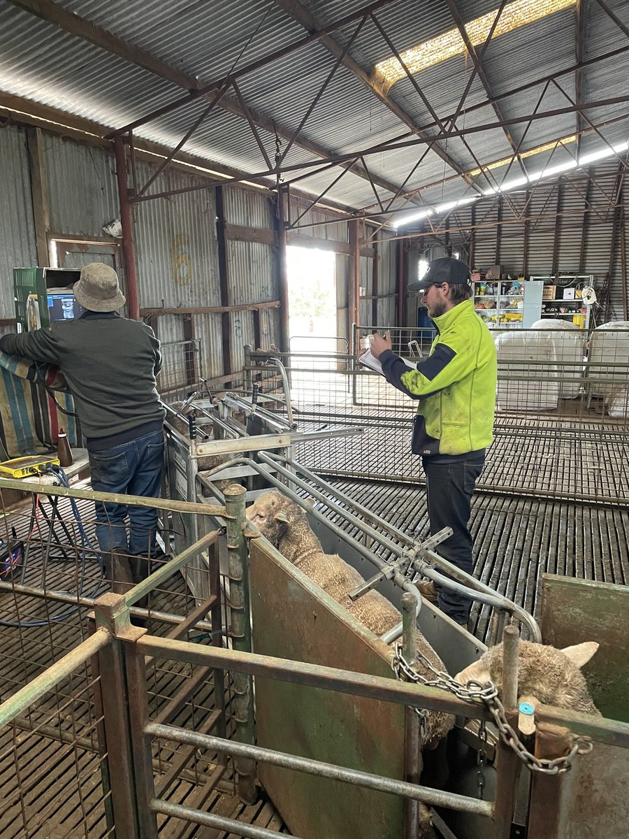 Gwern Thomas tweet media