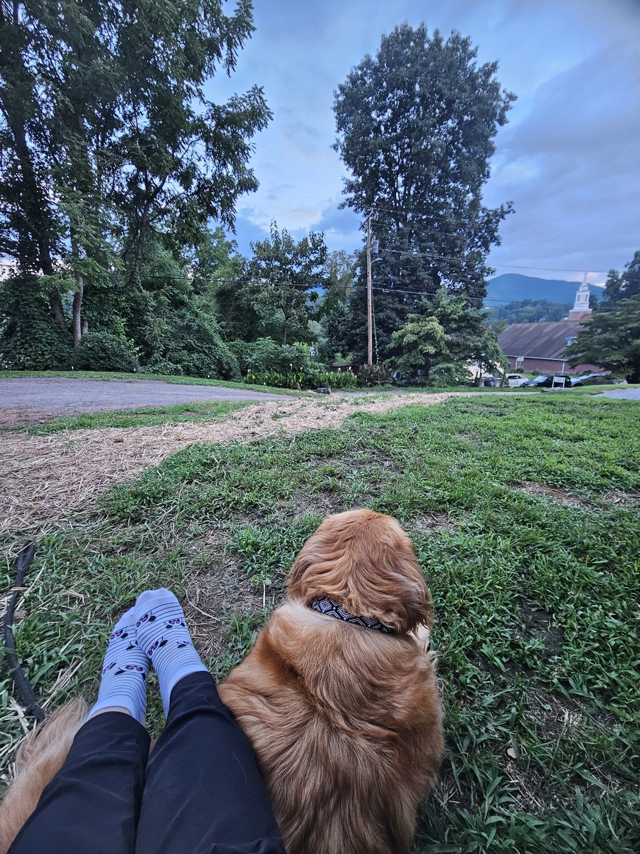 Melissa 🇮🇹🇺🇸 tweet media