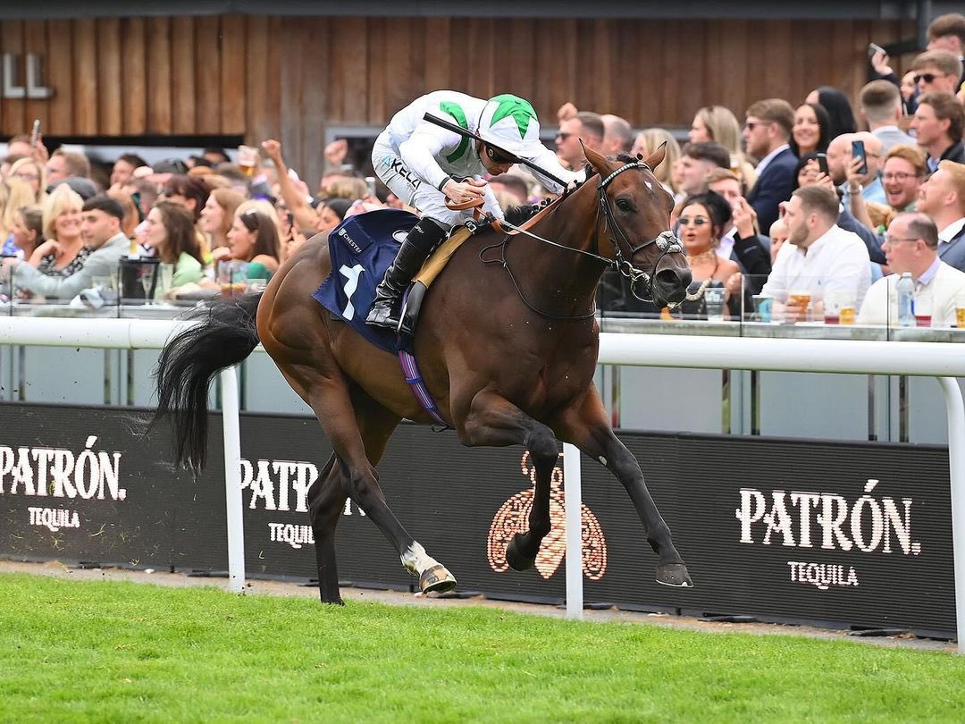 Manton Park Stallions (@mantonstallions) on Twitter photo 🏆 AL SHABAB STORM has just provided his sire ADVERTISE another Group winner this week, winning the Group 3, 154. Casino Baden Baden Goldene Peitsche Stakes 👏 <a href="/DeutscherGalopp/">Deutscher Galopp</a>
👏 Congratulations to owner breeder <a href="/Ahmad_Al_Shaikh/">أحمد عبدالله الشيخ</a>
<a href="/AndrewBalding2/">Andrew Balding</a> | <a href="/_JasonWatson/">Jason Watson</a> 🏆 AL SHABAB STORM has just provided his sire ADVERTISE another Group winner this week, winning the Group 3, 154. Casino Baden Baden Goldene Peitsche Stakes 👏 <a href="/DeutscherGalopp/">Deutscher Galopp</a>
👏 Congratulations to owner breeder <a href="/Ahmad_Al_Shaikh/">أحمد عبدالله الشيخ</a>
<a href="/AndrewBalding2/">Andrew Balding</a> | <a href="/_JasonWatson/">Jason Watson</a>